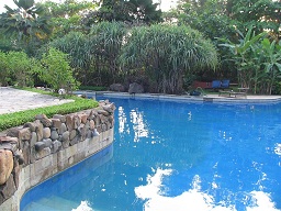 Hotel pool
