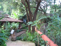 Hotel Anjuna